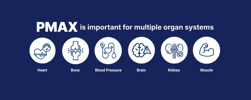 PMAX is important for multiple organ systems: heart, bone, blood pressure, brain, kidney and muscle